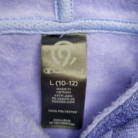 Champion Purple Tech Fleece Hoodie sz Large - Picture 4 of 5